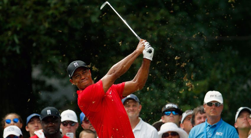 Tiger in full swing