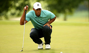 Tiger on the prowl